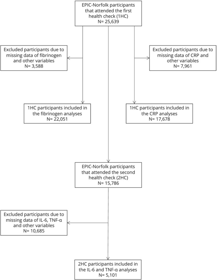 FIGURE 2