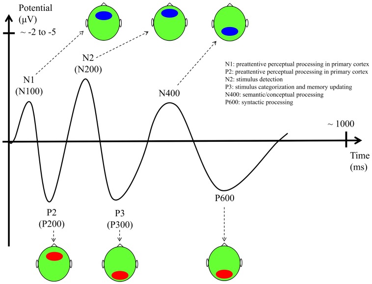 FIGURE 3