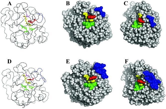 FIG. 8.