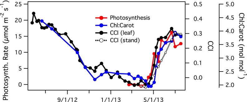 Fig. 2.