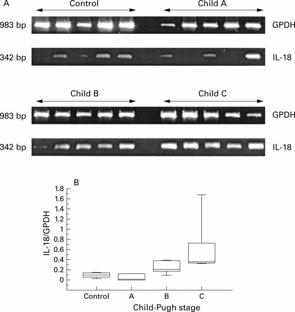 Figure 5  