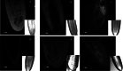 Fig. 5