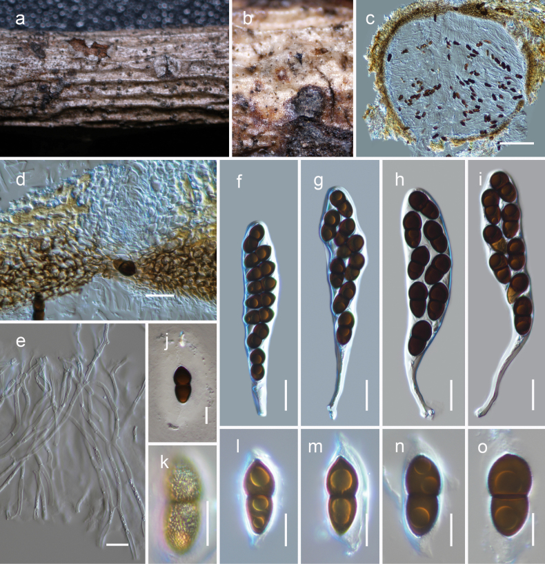 Figure 6.