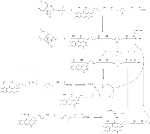 SCHEME 1.