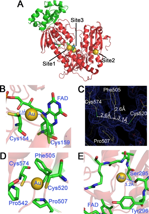 FIGURE 1.