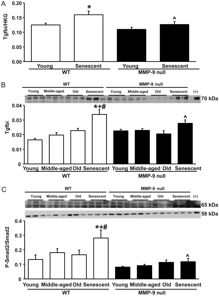 Figure 5