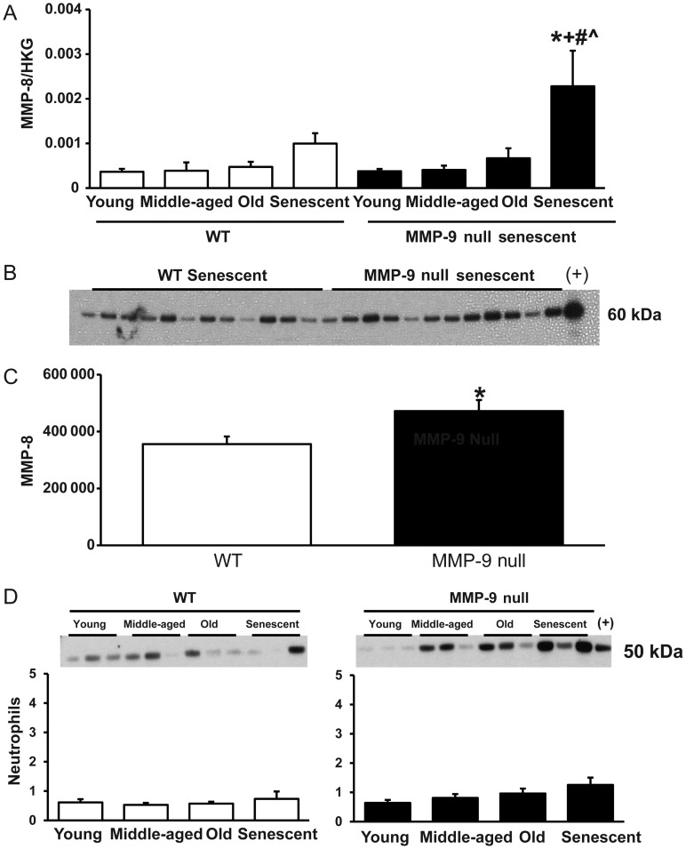 Figure 6