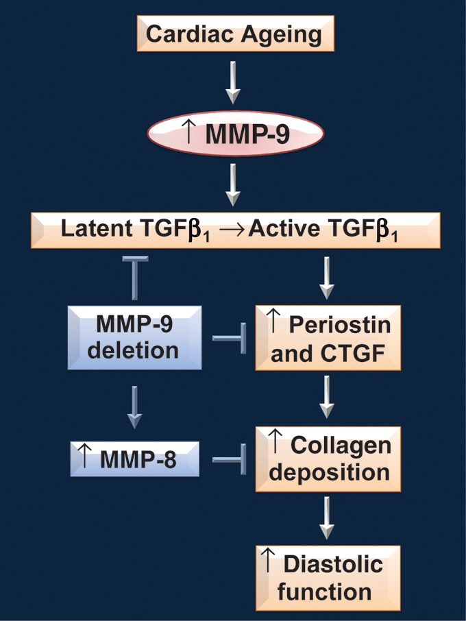 Figure 7