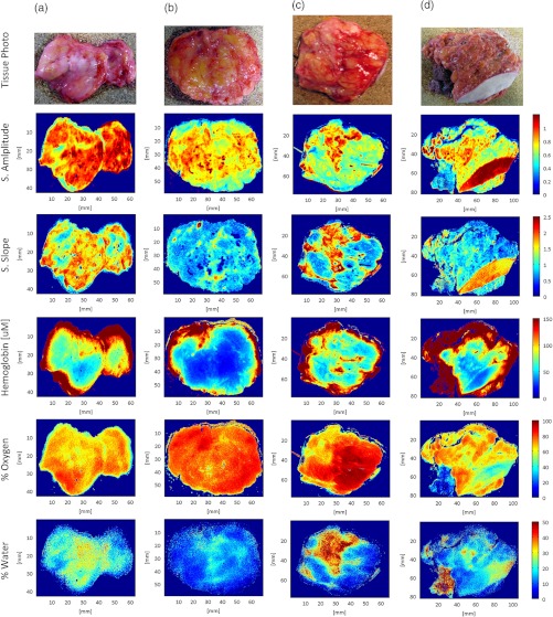 Fig. 7