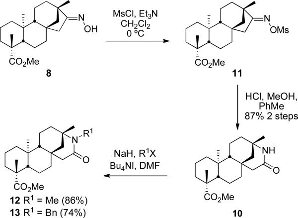 Scheme 3