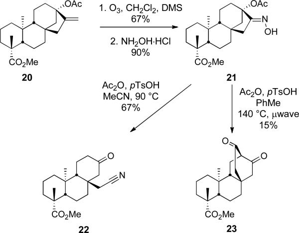 Scheme 6