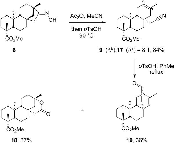 Scheme 5