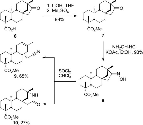 Scheme 2