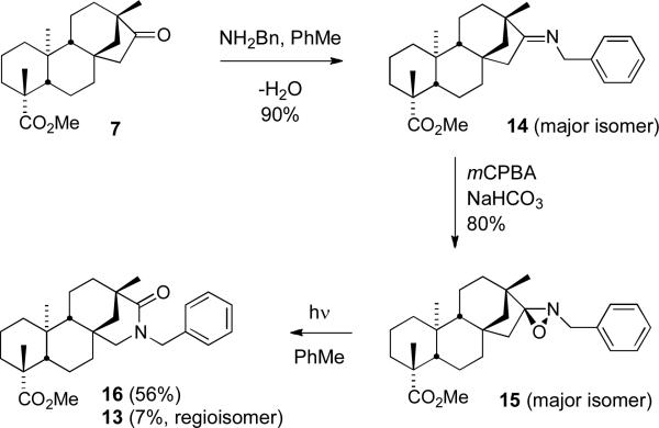 Scheme 4