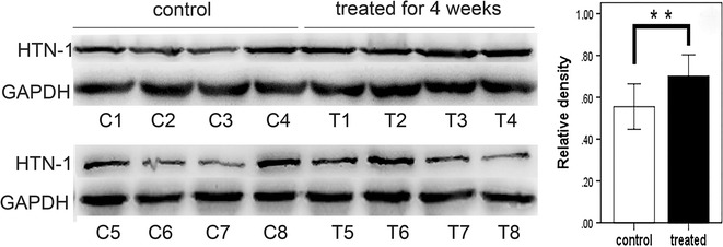 Fig. 4