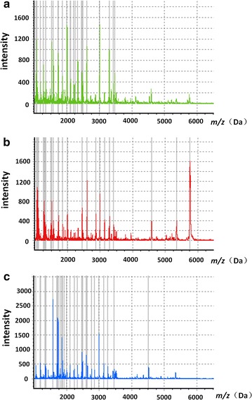 Fig. 1