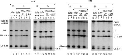 Figure 5.