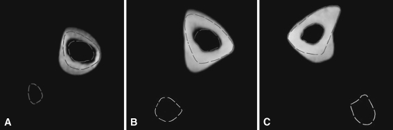 Fig. 5A–C