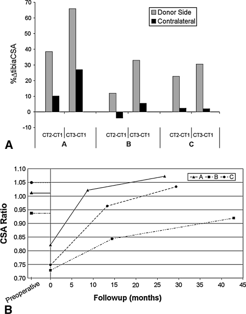 Fig. 3A–B