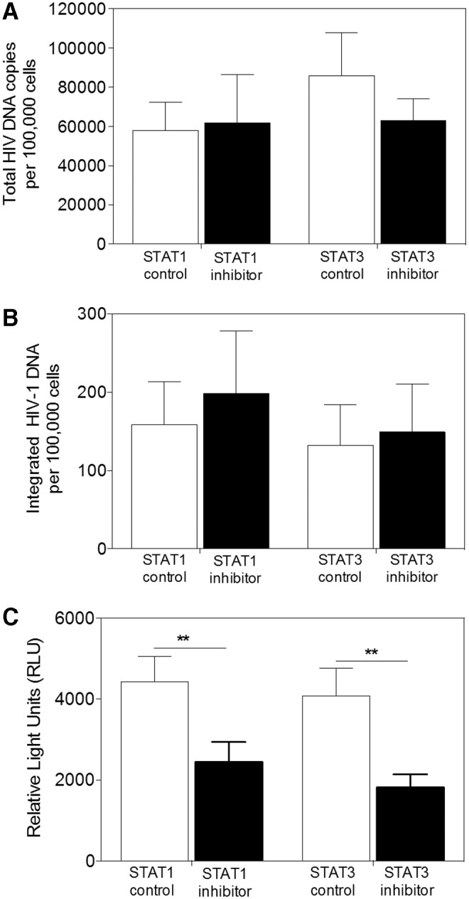 FIG. 7.