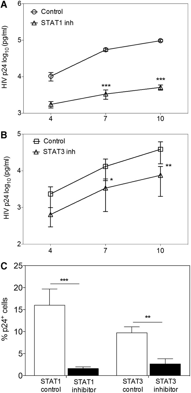 FIG. 6.