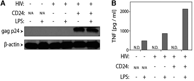 FIG. 4.