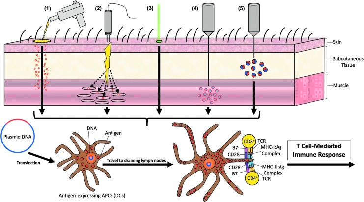 Figure 3.