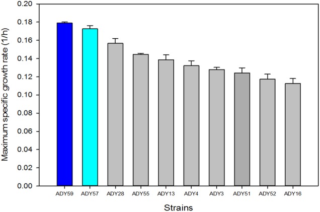 FIGURE 4