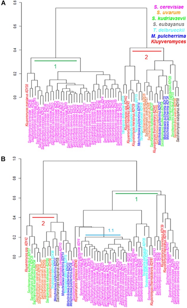 FIGURE 2