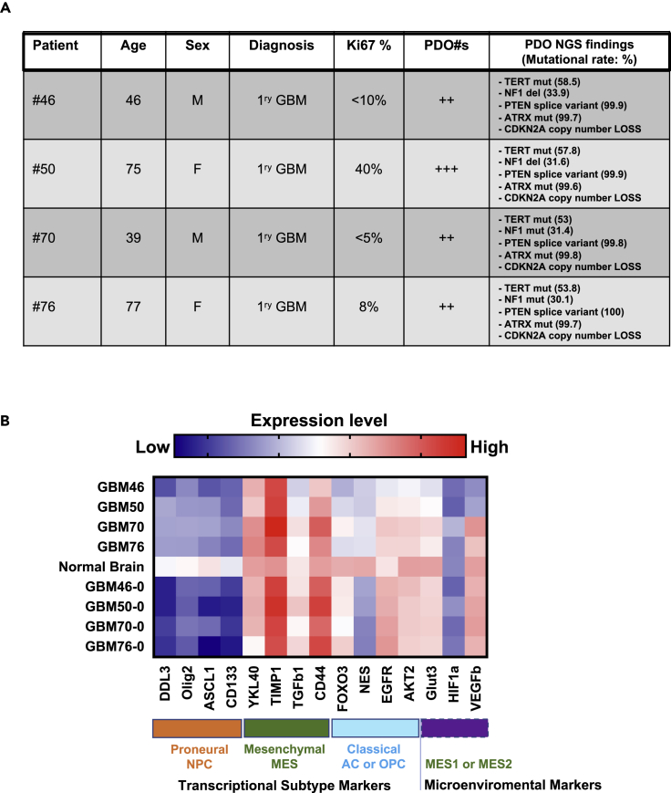 Figure 5