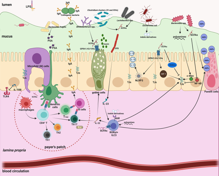 Figure 1