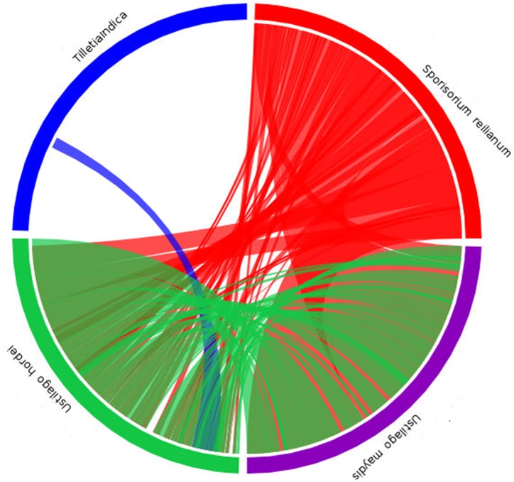 Fig 5