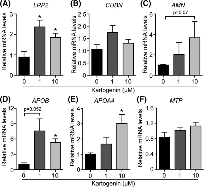 Figure 6