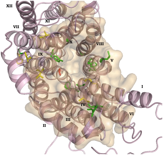 Figure 6