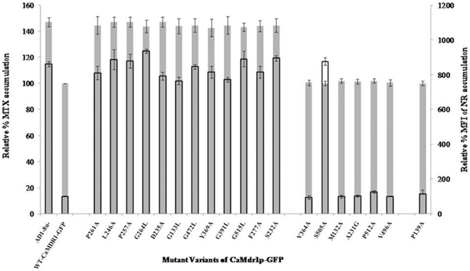 Figure 5