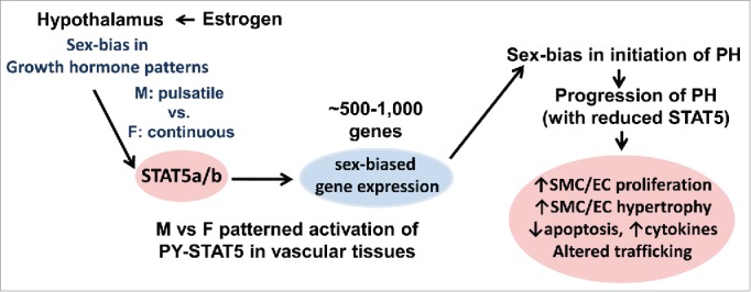 FIGURE 9.