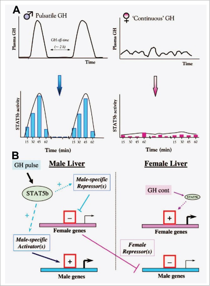 FIGURE 3.