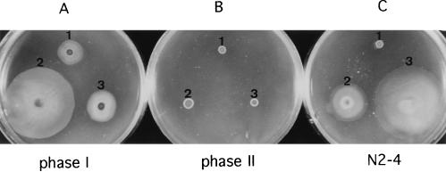 FIG. 2