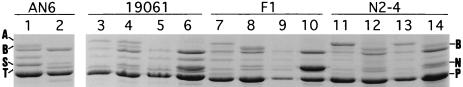 FIG. 4