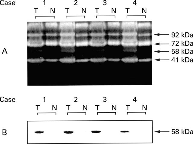 Figure 3  