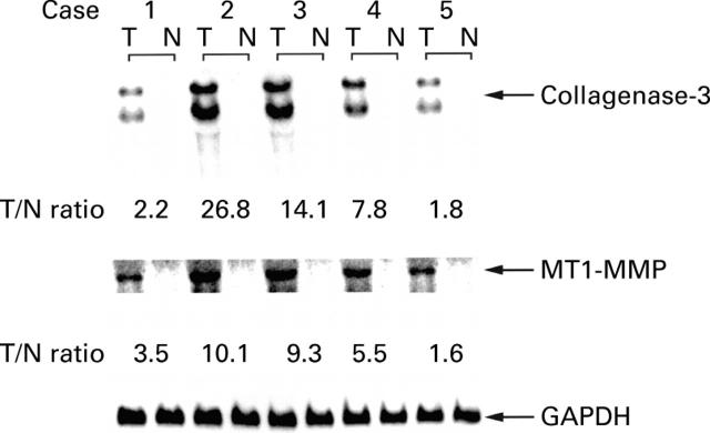 Figure 1  