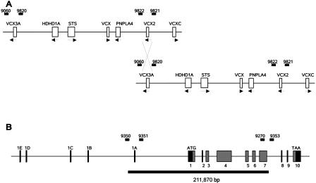 Figure  4. 