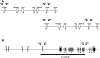 Figure  4.