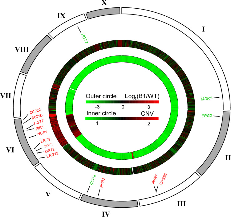 FIG 3