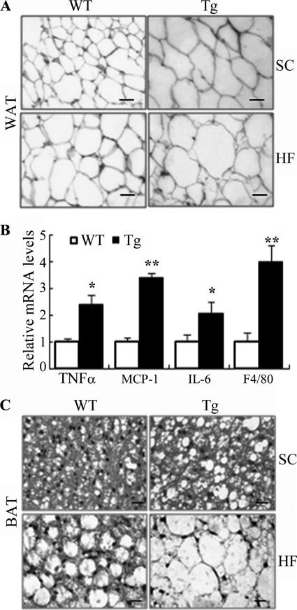 FIGURE 7.