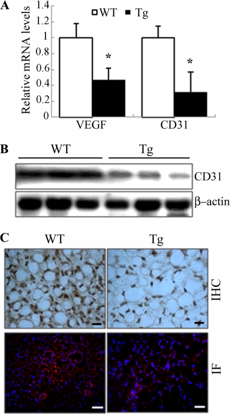 FIGURE 9.