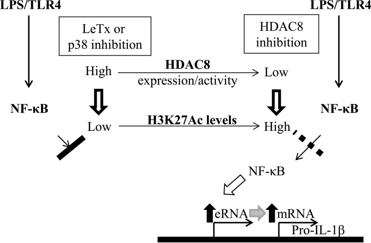 FIGURE 7.