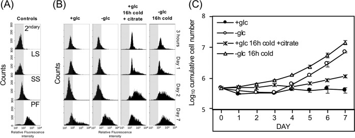 FIG 3