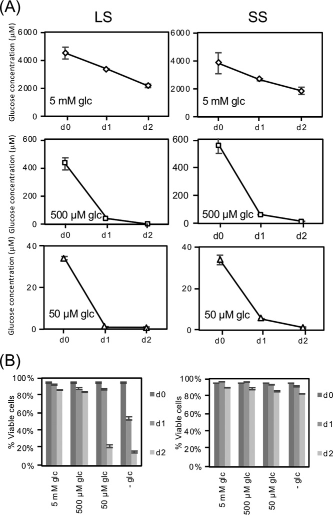 FIG 1