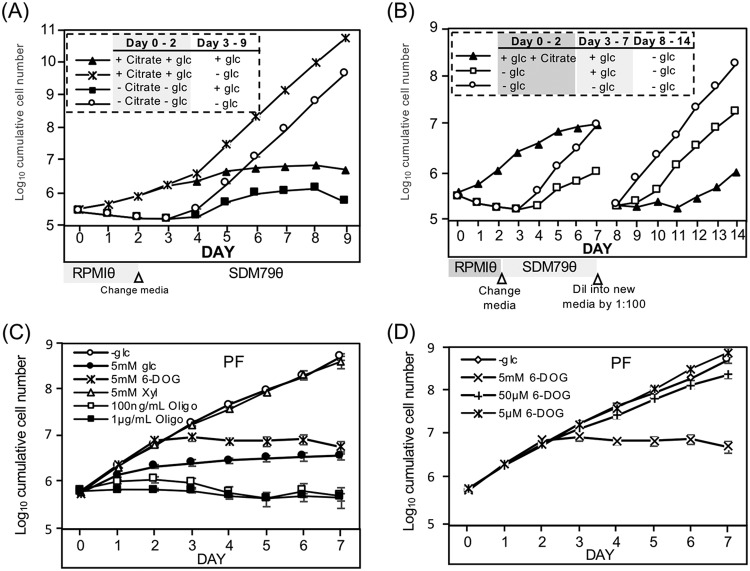 FIG 6